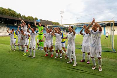 SPAL ARS ET LABOR - MESOLA