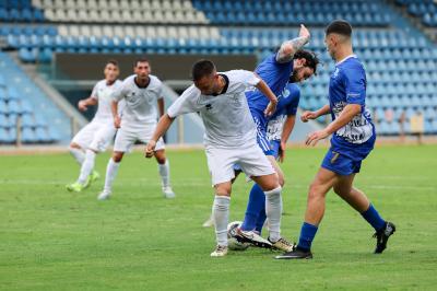SPAL ARS ET LABOR - MESOLA