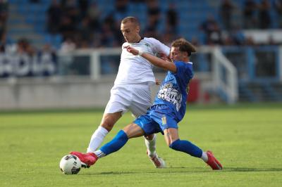 SPAL ARS ET LABOR - MESOLA