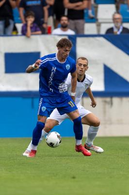 SPAL ARS ET LABOR - MESOLA