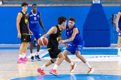 AMICHEVOLE ADAMANT BASKET - IMOLA