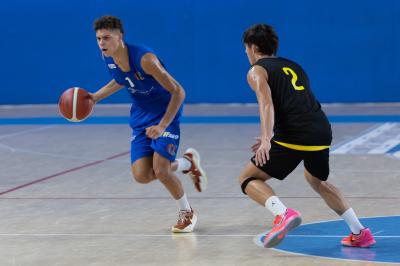 AMICHEVOLE ADAMANT BASKET - IMOLA