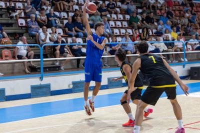 AMICHEVOLE ADAMANT BASKET - IMOLA