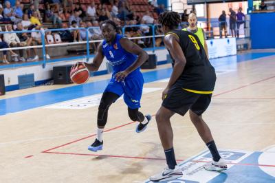 AMICHEVOLE ADAMANT BASKET - IMOLA