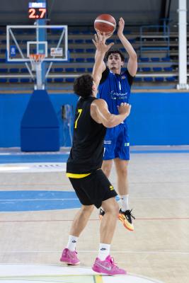 AMICHEVOLE ADAMANT BASKET - IMOLA