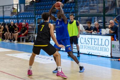 AMICHEVOLE ADAMANT BASKET - IMOLA