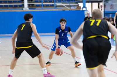 AMICHEVOLE ADAMANT BASKET - IMOLA