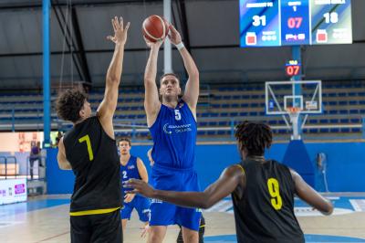 AMICHEVOLE ADAMANT BASKET - IMOLA