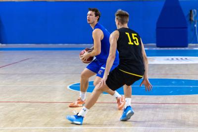 AMICHEVOLE ADAMANT BASKET - IMOLA