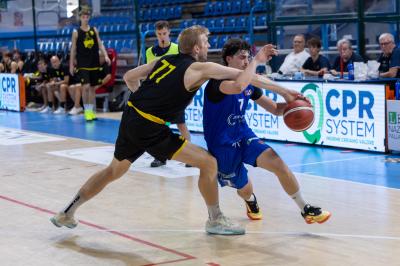 AMICHEVOLE ADAMANT BASKET - IMOLA