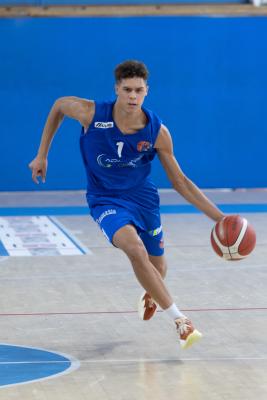 AMICHEVOLE ADAMANT BASKET - IMOLA