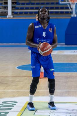 AMICHEVOLE ADAMANT BASKET - IMOLA