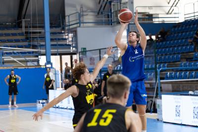 AMICHEVOLE ADAMANT BASKET - IMOLA