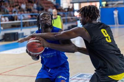 AMICHEVOLE ADAMANT BASKET - IMOLA