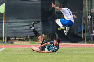 YOUNG SANTARCANGELO - SPAL ARS ET LABOR