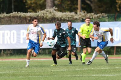 YOUNG SANTARCANGELO - SPAL ARS ET LABOR