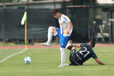 YOUNG SANTARCANGELO - SPAL ARS ET LABOR