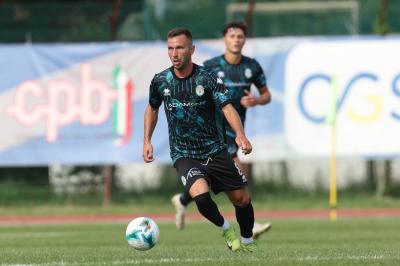 YOUNG SANTARCANGELO - SPAL ARS ET LABOR