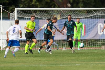 YOUNG SANTARCANGELO - SPAL ARS ET LABOR