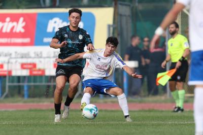 YOUNG SANTARCANGELO - SPAL ARS ET LABOR