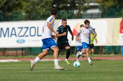 YOUNG SANTARCANGELO - SPAL ARS ET LABOR