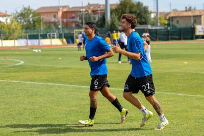 YOUNG SANTARCANGELO - SPAL ARS ET LABOR