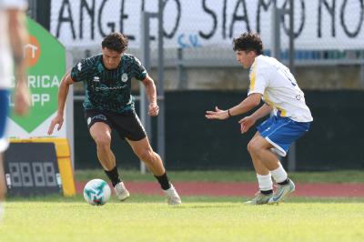 YOUNG SANTARCANGELO - SPAL ARS ET LABOR