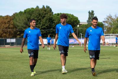 YOUNG SANTARCANGELO - SPAL ARS ET LABOR