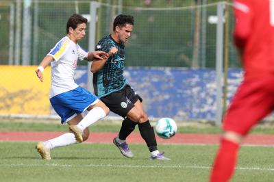 YOUNG SANTARCANGELO - SPAL ARS ET LABOR