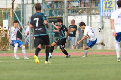 YOUNG SANTARCANGELO - SPAL ARS ET LABOR