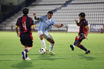 SPAL ARS ET LABOR - COMACCHIESE