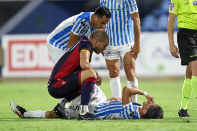 SPAL ARS ET LABOR - COMACCHIESE