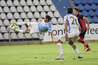 SPAL ARS ET LABOR - COMACCHIESE