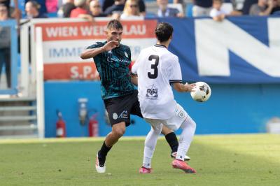 SPAL ARS ET LABOR - MASSA LOMBARDA