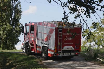 RICERCHE SCOMPARSO RO FERRARESE
