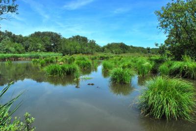 PROGETTO LIFE PARCO DEL DELTA
