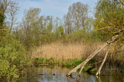 PROGETTO LIFE PARCO DEL DELTA