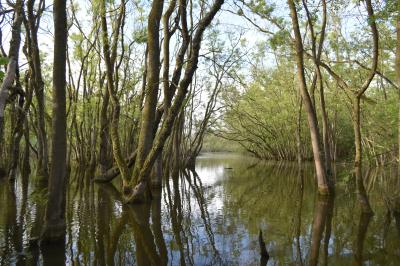 PROGETTO LIFE PARCO DEL DELTA