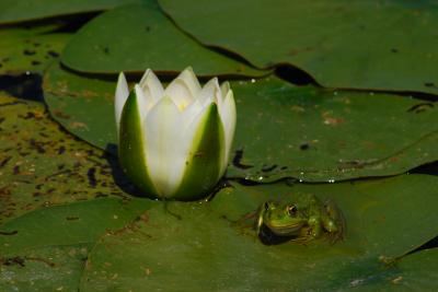 PROGETTO LIFE PARCO DEL DELTA