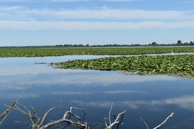 PROGETTO LIFE PARCO DEL DELTA