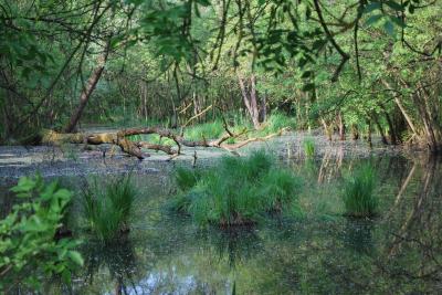 PROGETTO LIFE PARCO DEL DELTA