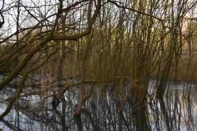 PROGETTO LIFE PARCO DEL DELTA