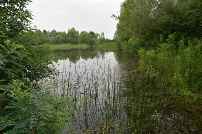 PROGETTO LIFE PARCO DEL DELTA