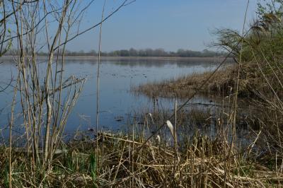 PROGETTO LIFE PARCO DEL DELTA