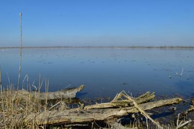 PROGETTO LIFE PARCO DEL DELTA