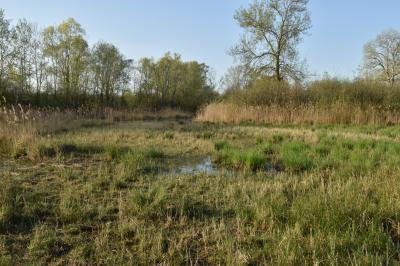 PROGETTO LIFE PARCO DEL DELTA