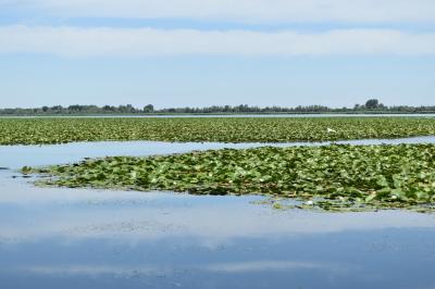 PROGETTO LIFE PARCO DEL DELTA