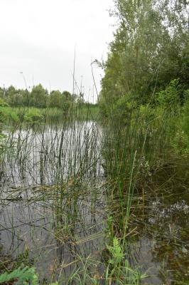 PROGETTO LIFE PARCO DEL DELTA