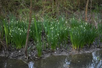 PROGETTO LIFE PARCO DEL DELTA