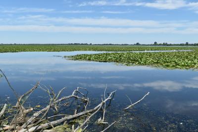 PROGETTO LIFE PARCO DEL DELTA